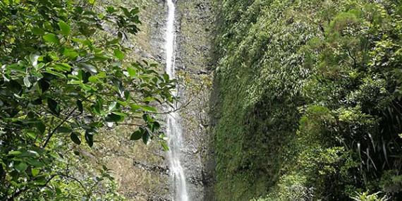 Voyage à La Réunion Voyage à La Réunion de Jean-François P.
